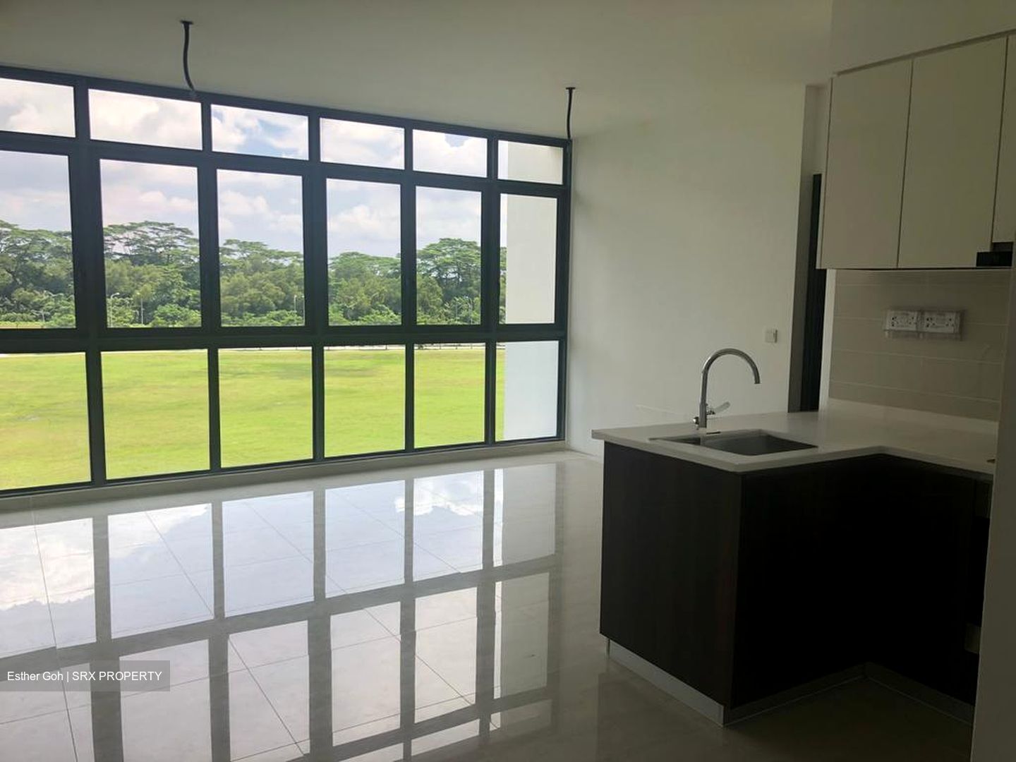 Symphony Suites (D27), Condominium #565650361